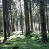 10 c Wanderung bei Lauterburg